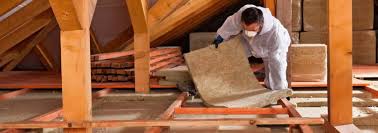 Best Insulation Removal  in Beltsville, MD