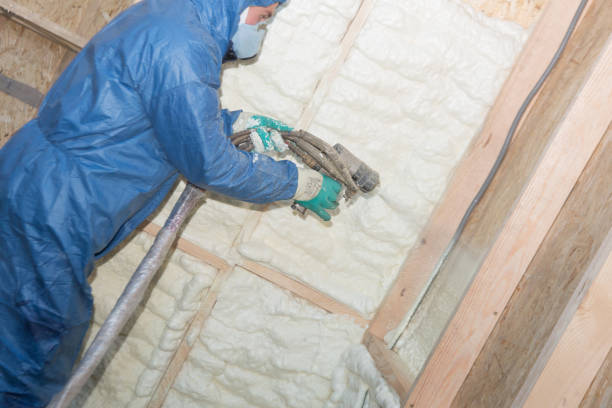 Best Blown-In Insulation  in Beltsville, MD